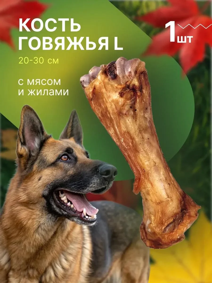 Top Lap Bone for dogs of large breeds with veins and cartilage