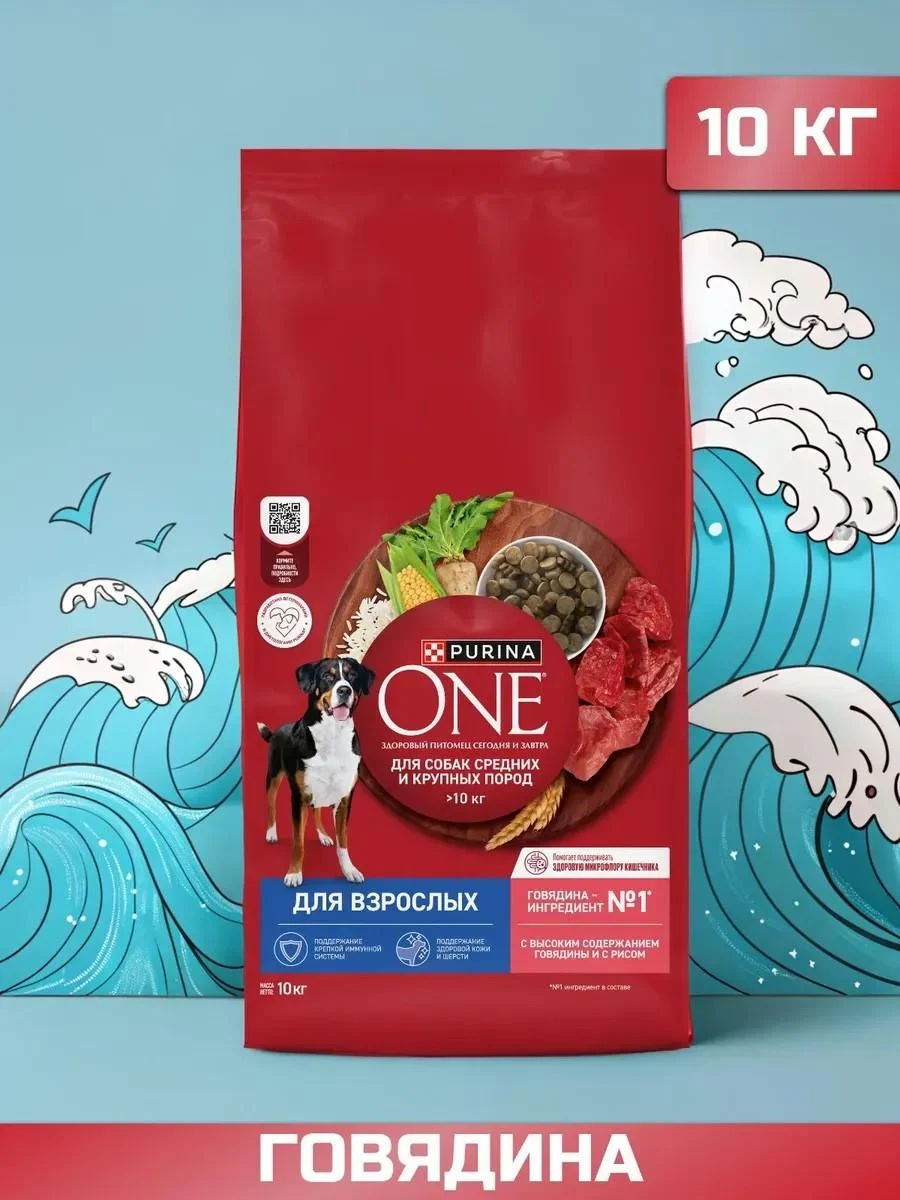 PURINA ONE Dry food for dogs with beef 10 kg